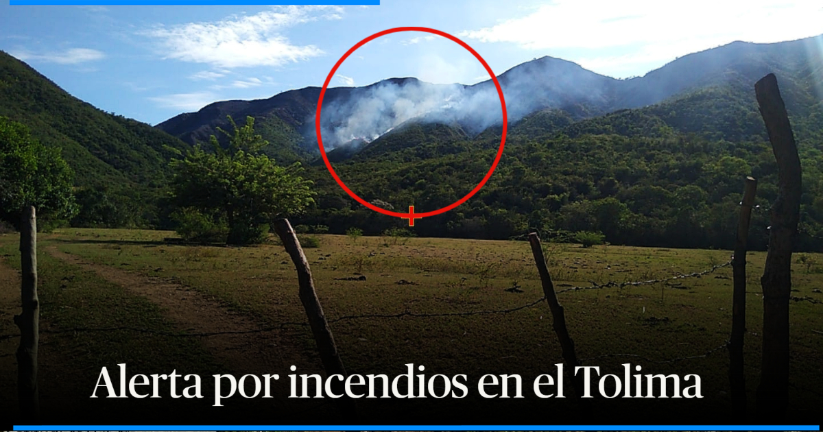 Voraz Incendio Forestal Causa Emergencia En El Tolima A N Sigue Activo